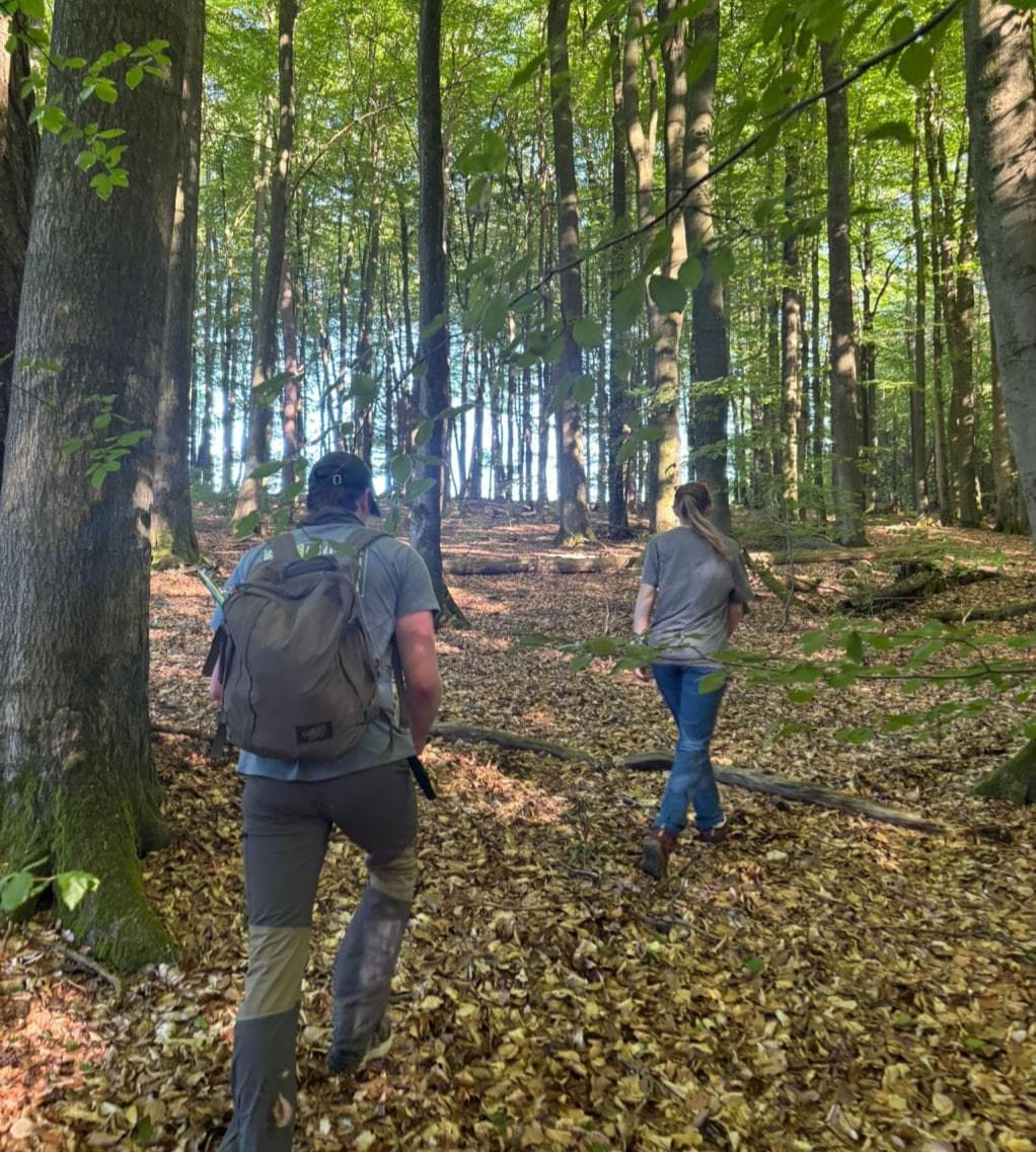 Two walkers on a leaf-covered trail through the woods